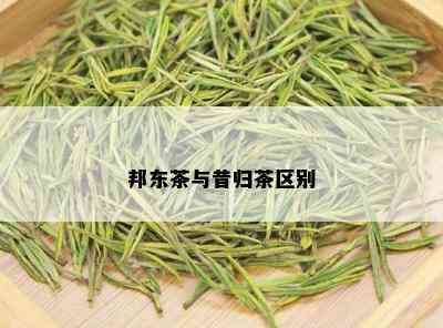 邦东茶与昔归茶区别