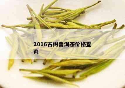 2016古树普洱茶价格查询