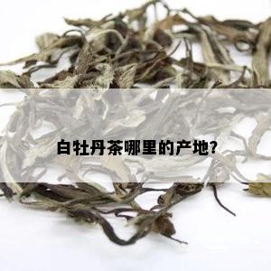 白牡丹茶哪里的产地？