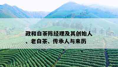 政和白茶陈经理及其创始人、老白茶、传承人与来历