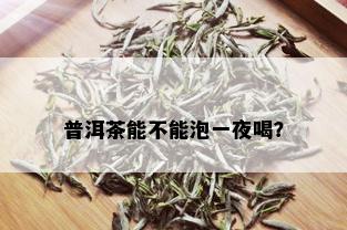 普洱茶能不能泡一夜喝？