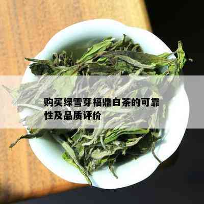 购买绿雪芽福鼎白茶的可靠性及品质评价