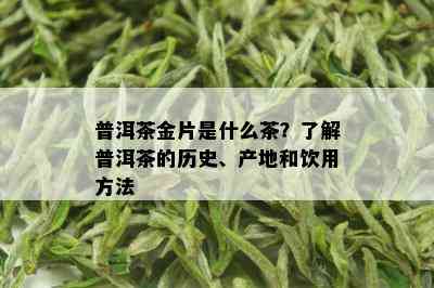 普洱茶金片是什么茶？了解普洱茶的历史、产地和饮用方法