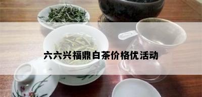 六六兴福鼎白茶价格优活动