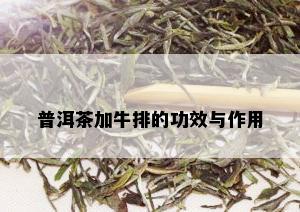 普洱茶加牛排的功效与作用