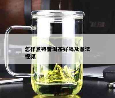 怎样煮熟普洱茶好喝及煮法视频