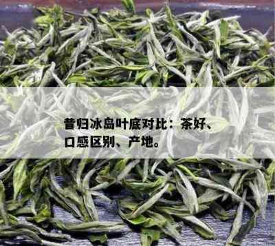 昔归冰岛叶底对比：茶好、口感区别、产地。