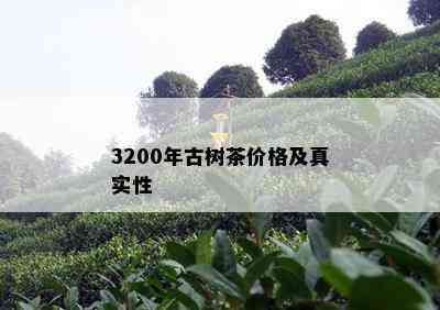 3200年古树茶价格及真实性