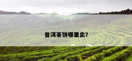 普洱茶饼哪里卖？