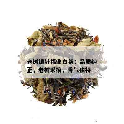 老树银针福鼎白茶：品质纯正，老树采摘，香气独特