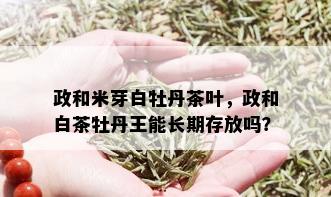 政和米芽白牡丹茶叶，政和白茶牡丹王能长期存放吗？