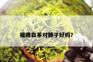 福鼎白茶对肺子好吗？