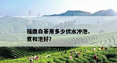 福鼎白茶用多少伏水冲泡、煮和泡好？