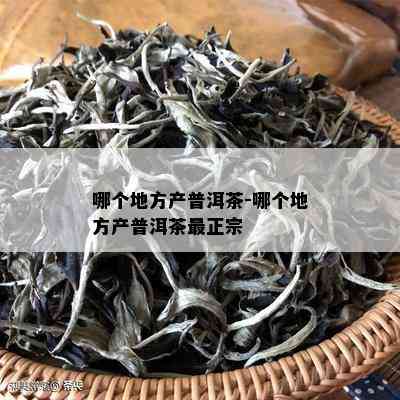 哪个地方产普洱茶-哪个地方产普洱茶最正宗