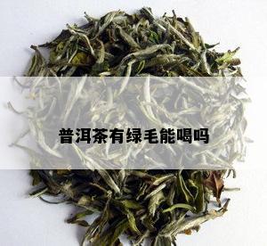 普洱茶有绿毛能喝吗