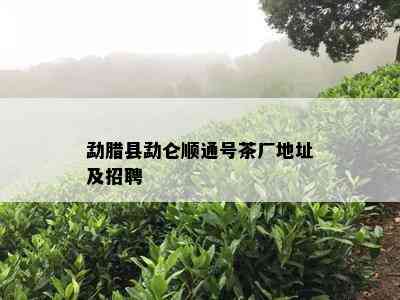 勐腊县勐仑顺通号茶厂地址及招聘