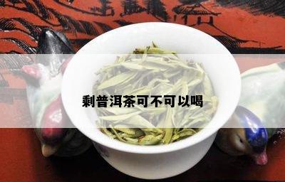 剩普洱茶可不可以喝