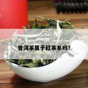 普洱茶属于红茶系吗？