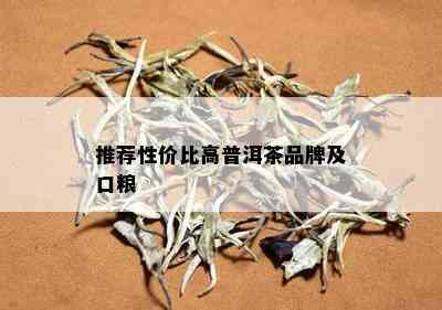 推荐性价比高普洱茶品牌及口粮