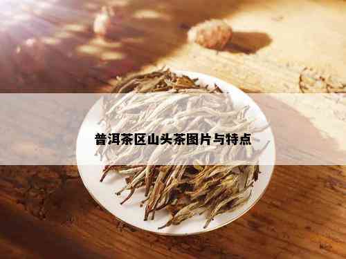 普洱茶区山头茶图片与特点