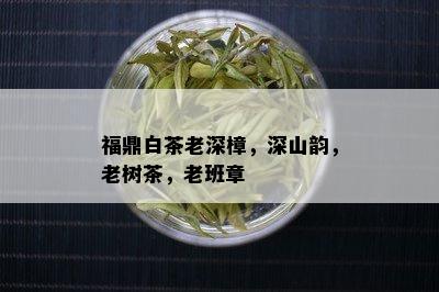 福鼎白茶老深樟，深山韵，老树茶，老班章