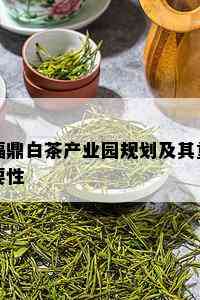 福鼎白茶产业园规划及其重要性