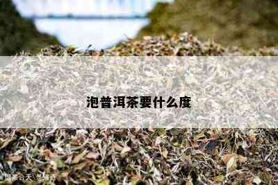 泡普洱茶要什么度