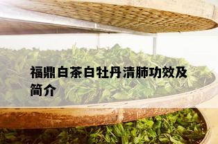 福鼎白茶白牡丹清肺功效及简介