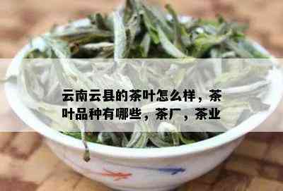 云南云县的茶叶怎么样，茶叶品种有哪些，茶厂，茶业