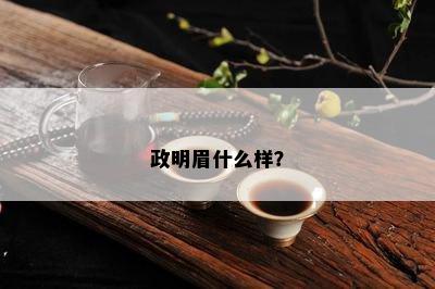 政明眉什么样？