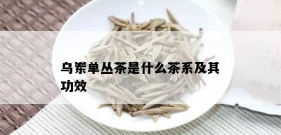 乌岽单丛茶是什么茶系及其功效