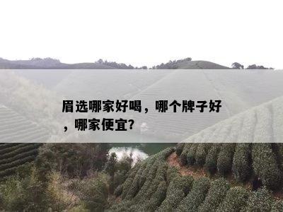 眉选哪家好喝，哪个牌子好，哪家便宜？