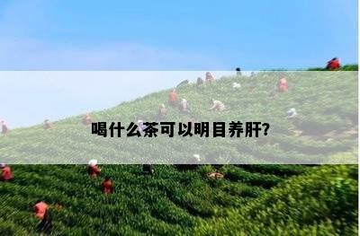 喝什么茶可以明目养肝？