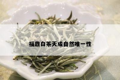 福鼎白茶天成自然唯一性