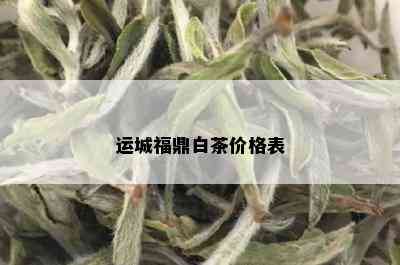 运城福鼎白茶价格表