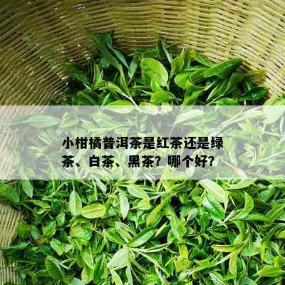 小柑橘普洱茶是红茶还是绿茶、白茶、黑茶？哪个好？