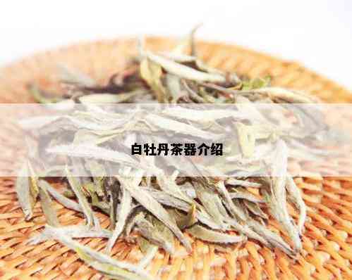 白牡丹茶器介绍