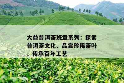 大益普洱茶班章系列：探索普洱茶文化、品尝珍稀茶叶、传承百年工艺