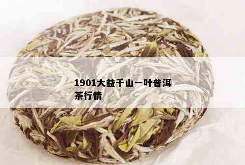 1901大益千山一叶普洱茶行情