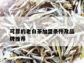 可靠的老白茶加盟条件及品牌推荐