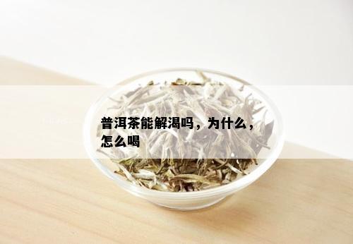 普洱茶能解渴吗，为什么，怎么喝