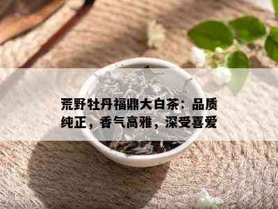 荒野牡丹福鼎大白茶：品质纯正，香气高雅，深受喜爱