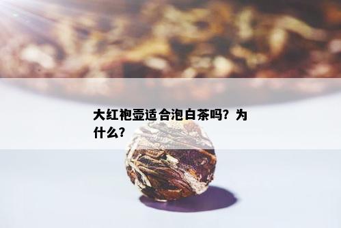 大红袍壶适合泡白茶吗？为什么？