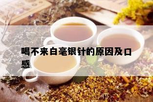 喝不来白毫银针的原因及口感