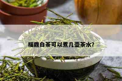 福鼎白茶可以煮几壶茶水？