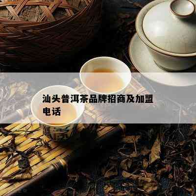 汕头普洱茶品牌招商及加盟电话