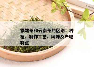 福建茶和云南茶的区别：种植、制作工艺、风味及产地特点