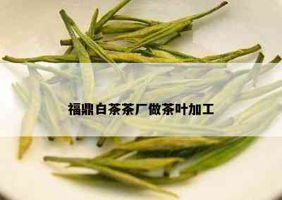 福鼎白茶茶厂做茶叶加工