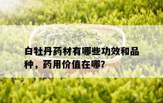 白牡丹药材有哪些功效和品种，药用价值在哪？