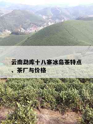 云南勐库十八寨冰岛茶特点、茶厂与价格